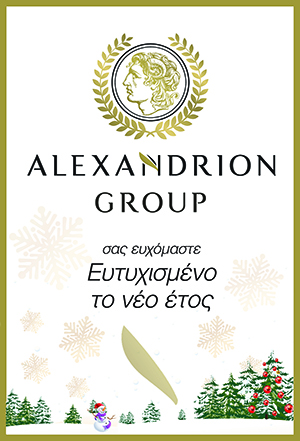 Alexandrion Group XMAS 2022 banner xkb 300X450